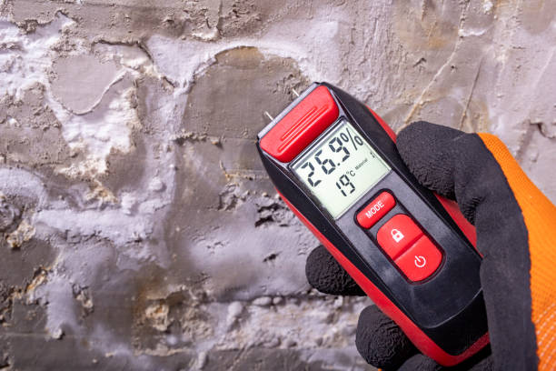 Best Localized Mold Remediation (e.g., coastal areas, humid climates) in River Hills, WI